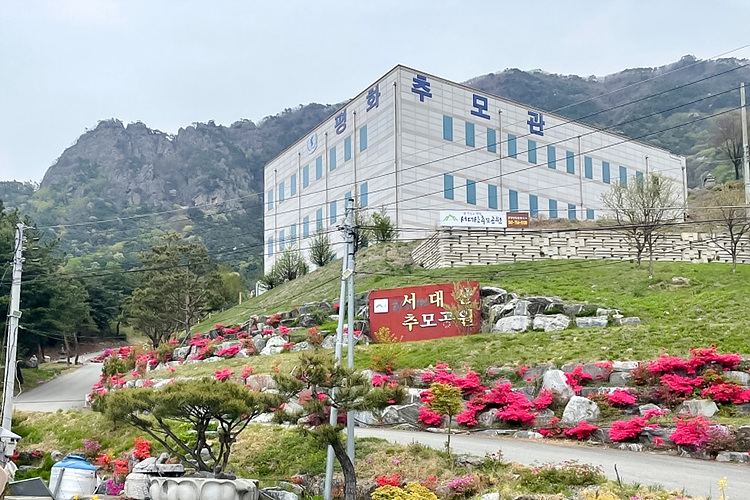 장지 이미지