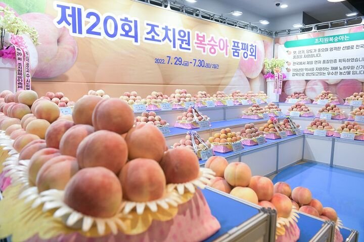 이미지 4804