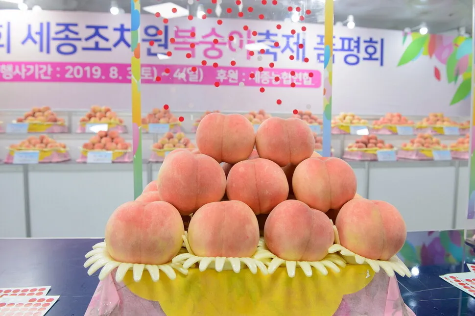 이미지 4806