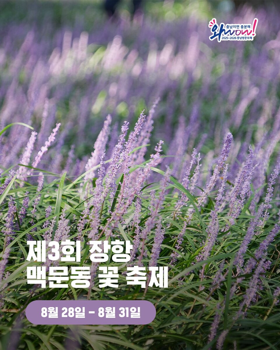 이미지 5990