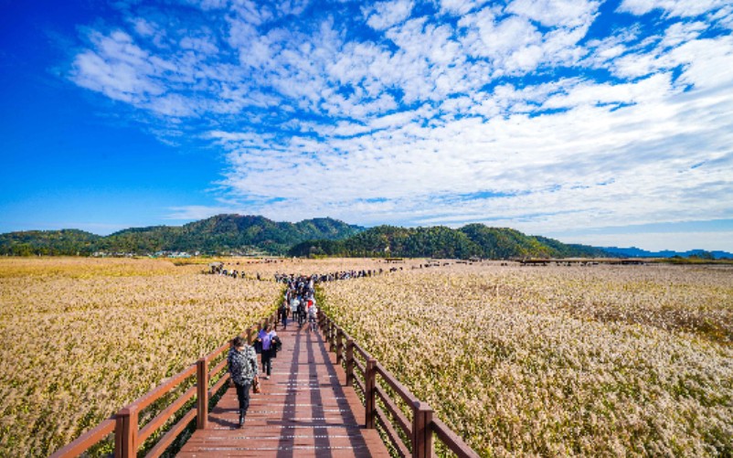제주 화산섬부터 고창 고인돌까지…전국 4개 도시 속 세계유산 탐방 가볼까