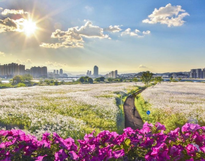이봄 가기 전에 6000만 송이 봄꽃에 파묻히고 싶다면 꼭 찾아야 하는 곳