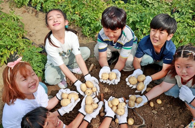 감자에 반하고, 감물에 물들다…가족 체험형 농촌축제 괴산서 개막