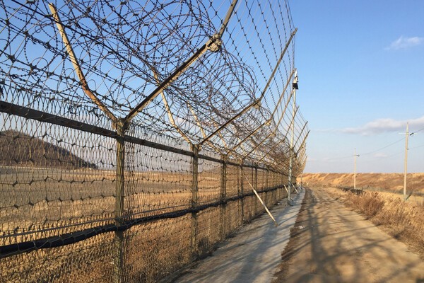 DMZ, 올가을 평화의 이름으로 문을 연다 [페스티벌 플러스]